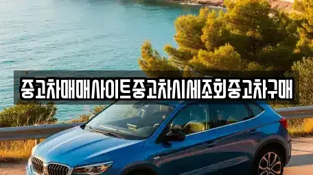 서울 중구 저동2가 중고차,렌트카,중고차매입,중고차매매,장기렌트카,단기렌트카