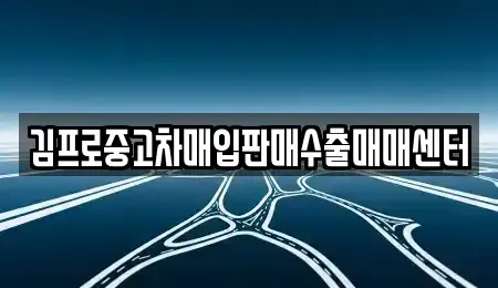 서울 중구 저동2가 중고차매입 전문 김프로중고차매입판매수출매매센터