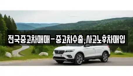 서울 중구 저동2가 중고차매입 전문 전국중고차매매-중고차수출,사고노후차매입