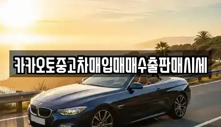서울 중구 저동2가 중고차매입 전문 카카오토중고차매입매매수출판매시세