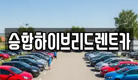 서울 중랑구 망우동 단기렌트카 전문 승합하이브리드렌트카