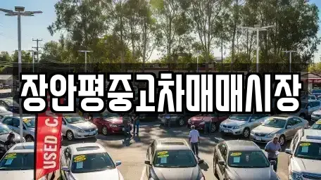 서울 중랑구 망우동 중고차매매 전문 장안평중고차매매시장