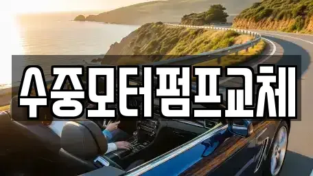 서울 중랑구 망우동 중고차매입 전문 수중모터펌프교체