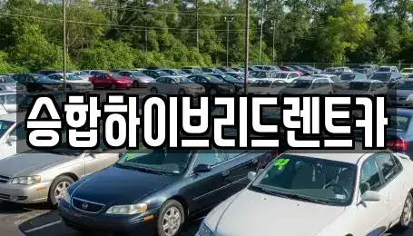 서울 중랑구 중화동 단기렌트카 전문 승합하이브리드렌트카