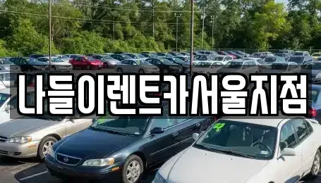 서울 중랑구 중화동 렌트카 전문 나들이렌트카서울지점