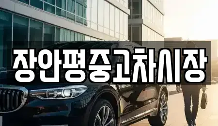 서울 중랑구 중화동 중고차 전문 장안평중고차시장