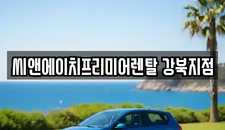 서울특별시 강북구 우이동 렌트카 전문 씨앤에이치프리미어렌탈 강북지점