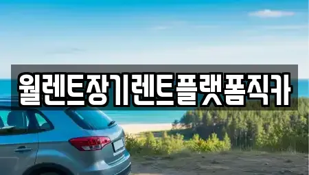 서울특별시 강북구 우이동 렌트카 전문 월렌트장기렌트플랫폼직카