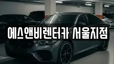 서울특별시 강서구 단기렌트카 전문 에스앤비렌터카 서울지점