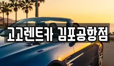서울특별시 강서구 렌트카 전문 고고렌트카 김포공항점