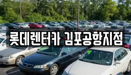 서울특별시 강서구 렌트카 전문 롯데렌터카 김포공항지점