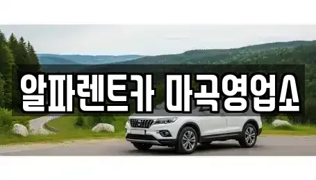 서울특별시 강서구 렌트카 전문 알파렌트카 마곡영업소
