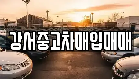 서울특별시 강서구 중고차매매 전문 강서중고차매입매매