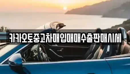 서울특별시 강서구 중고차매입 전문 카카오토중고차매입매매수출판매시세