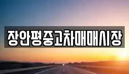 서울특별시 광진구 화양동 중고차매매 전문 장안평중고차매매시장