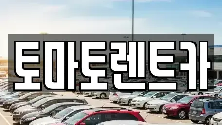 서울특별시 도봉구 쌍문동 렌트카 전문 토마토렌트카