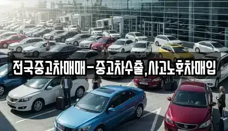 서울특별시 도봉구 쌍문동 중고차매입 전문 전국중고차매매-중고차수출,사고노후차매입