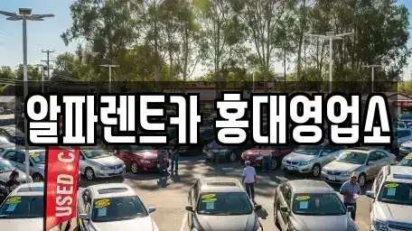 서울특별시 마포구 서교동 렌트카,단기렌트카,장기렌트카,중고차,중고차매매,중고차매입