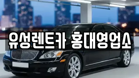 서울특별시 마포구 서교동 렌트카 전문 유성렌트카 홍대영업소