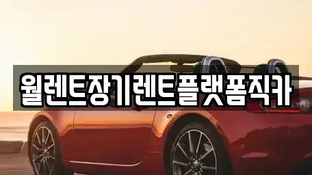 서울특별시 마포구 서교동 장기렌트카 전문 월렌트장기렌트플랫폼직카