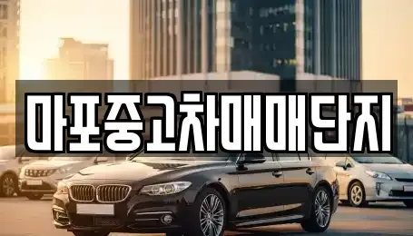 서울특별시 마포구 서교동 중고차 전문 마포중고차매매단지