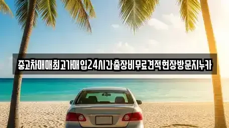 서울특별시 마포구 서교동 중고차 전문 중고차매매최고가매입24시간출장비무료견적현장방문지누카