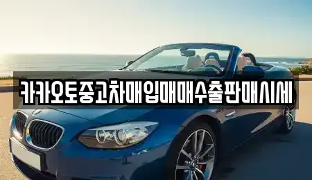 서울특별시 마포구 서교동 중고차매입 전문 카카오토중고차매입매매수출판매시세