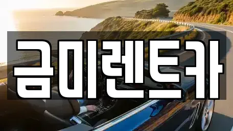 서울특별시 마포구 아현동 렌트카 전문 금미렌트카