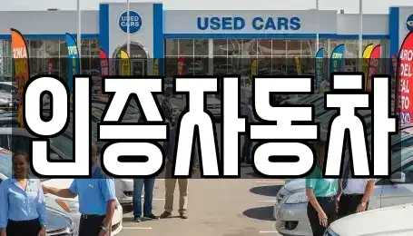 서울특별시 마포구 아현동 중고차 전문 인증자동차