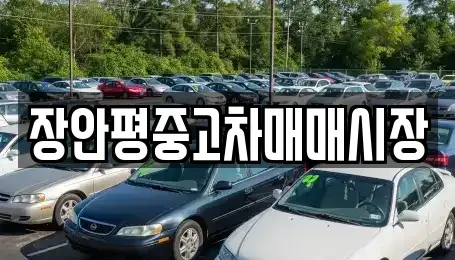 서울특별시 마포구 아현동 중고차 전문 장안평중고차매매시장