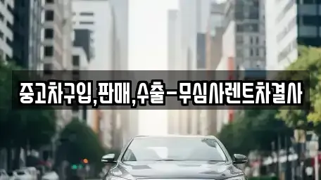서울특별시 마포구 아현동 중고차 전문 중고차구입,판매,수출-무심사렌트차결사