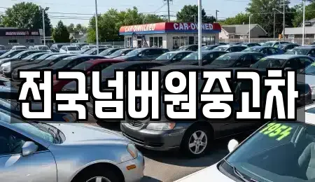 서울특별시 마포구 아현동 중고차매매 전문 전국넘버원중고차