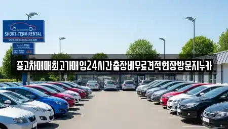 서울특별시 서대문구 옥천동 중고차 전문 중고차매매최고가매입24시간출장비무료견적현장방문지누카