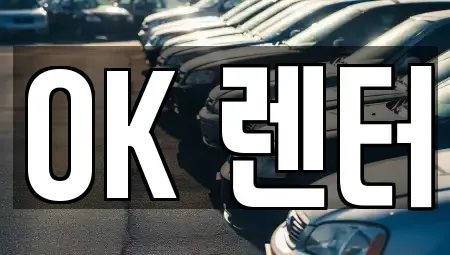 서울특별시 성북구 동소문동5가 렌트카 전문 OK 렌터