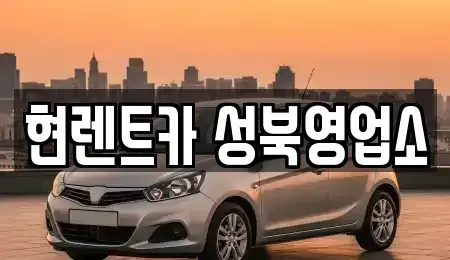 서울특별시 성북구 동소문동5가 렌트카 전문 현렌트카 성북영업소