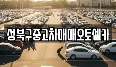 서울특별시 성북구 동소문동5가 중고차 전문 성북구중고차매매오토셀카