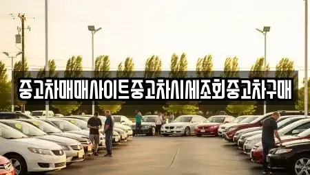 서울특별시 성북구 동소문동5가 중고차 전문 중고차매매사이트중고차시세조회중고차구매