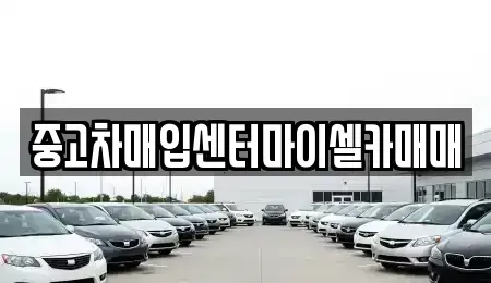 서울특별시 성북구 동소문동5가 중고차매입 전문 중고차매입센터마이셀카매매