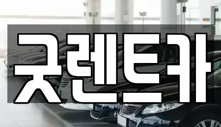 서울특별시 송파구 잠실동 단기렌트카 전문 굿렌트카
