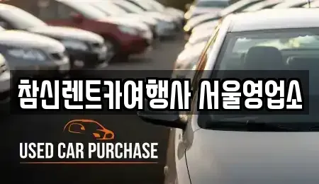 서울특별시 송파구 잠실동 단기렌트카 전문 참신렌트카여행사 서울영업소