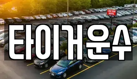 서울특별시 송파구 잠실동 장기렌트카 전문 타이거운수