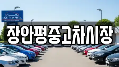 서울특별시 송파구 잠실동 중고차 전문 장안평중고차시장