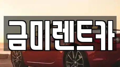 서울특별시 영등포구 당산동3가 렌트카 전문 금미렌트카