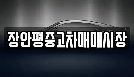 서울특별시 영등포구 당산동3가 중고차매매 전문 장안평중고차매매시장