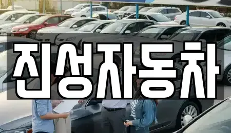 서울특별시 영등포구 당산동3가 중고차매매 전문 진성자동차