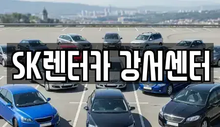 서울특별시 영등포구 당산동6가 장기렌트카 전문 SK렌터카 강서센터