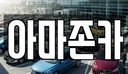 서울특별시 영등포구 당산동6가 장기렌트카 전문 아마존카