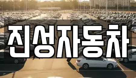 서울특별시 영등포구 당산동6가 중고차 전문 진성자동차