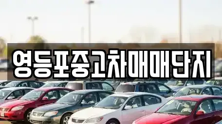 서울특별시 영등포구 중고차 전문 영등포중고차매매단지