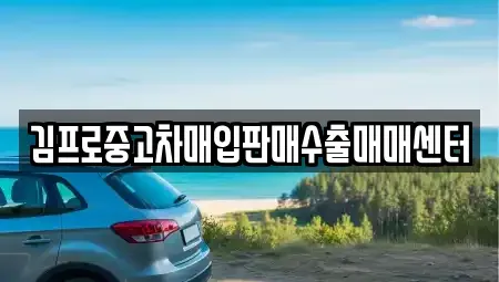 서울특별시 영등포구 중고차매입 전문 김프로중고차매입판매수출매매센터